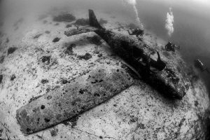 Cessna airplane (artificial reef, Moalboal) by Mathieu Foulquié 